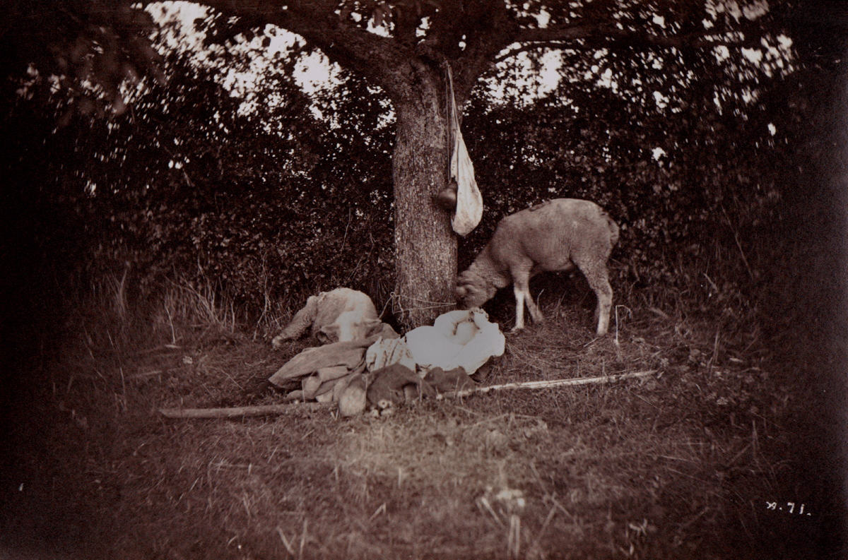 Shepherdess Sleeping, with Two Sheep
