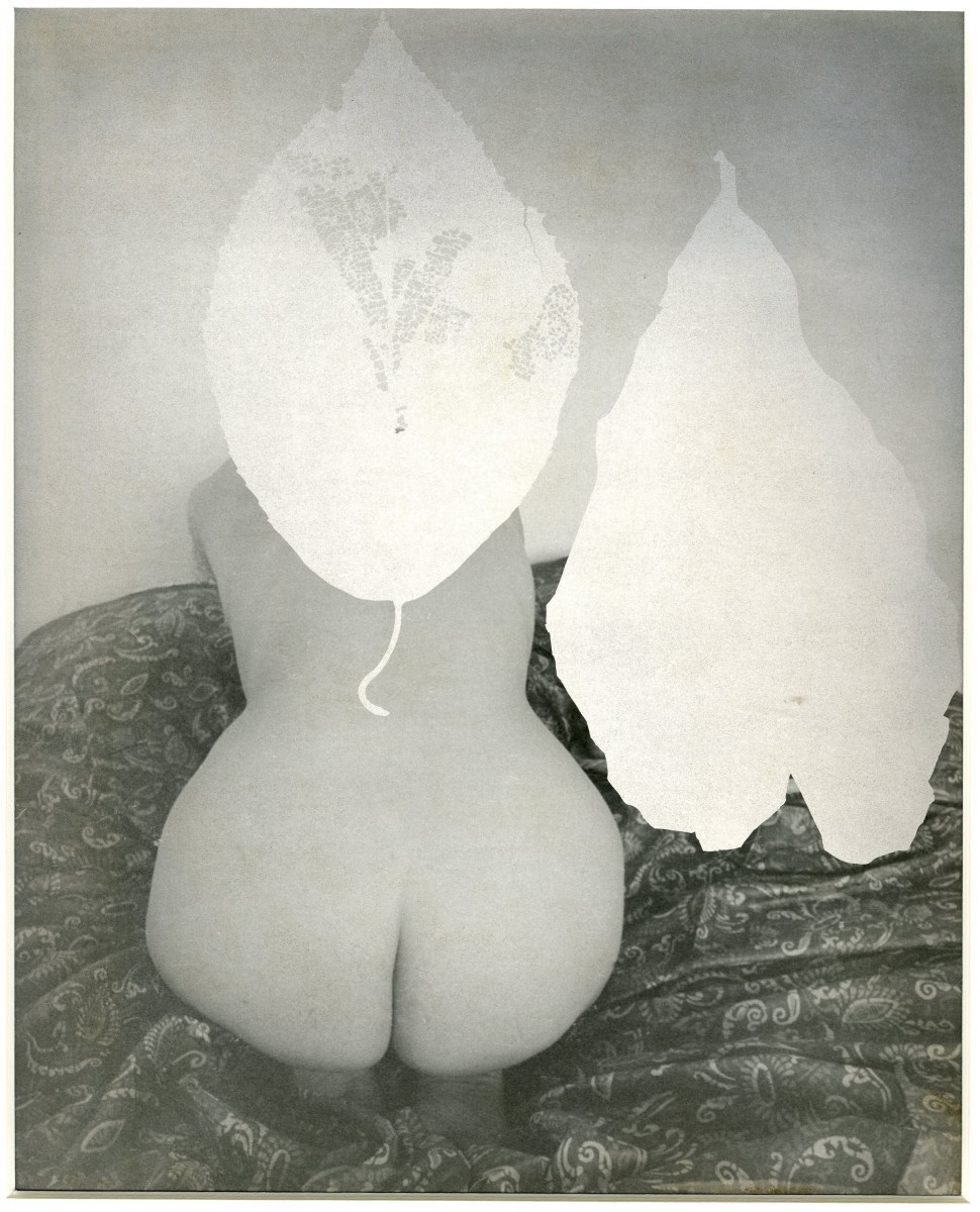 Untitled (nude with leaves)