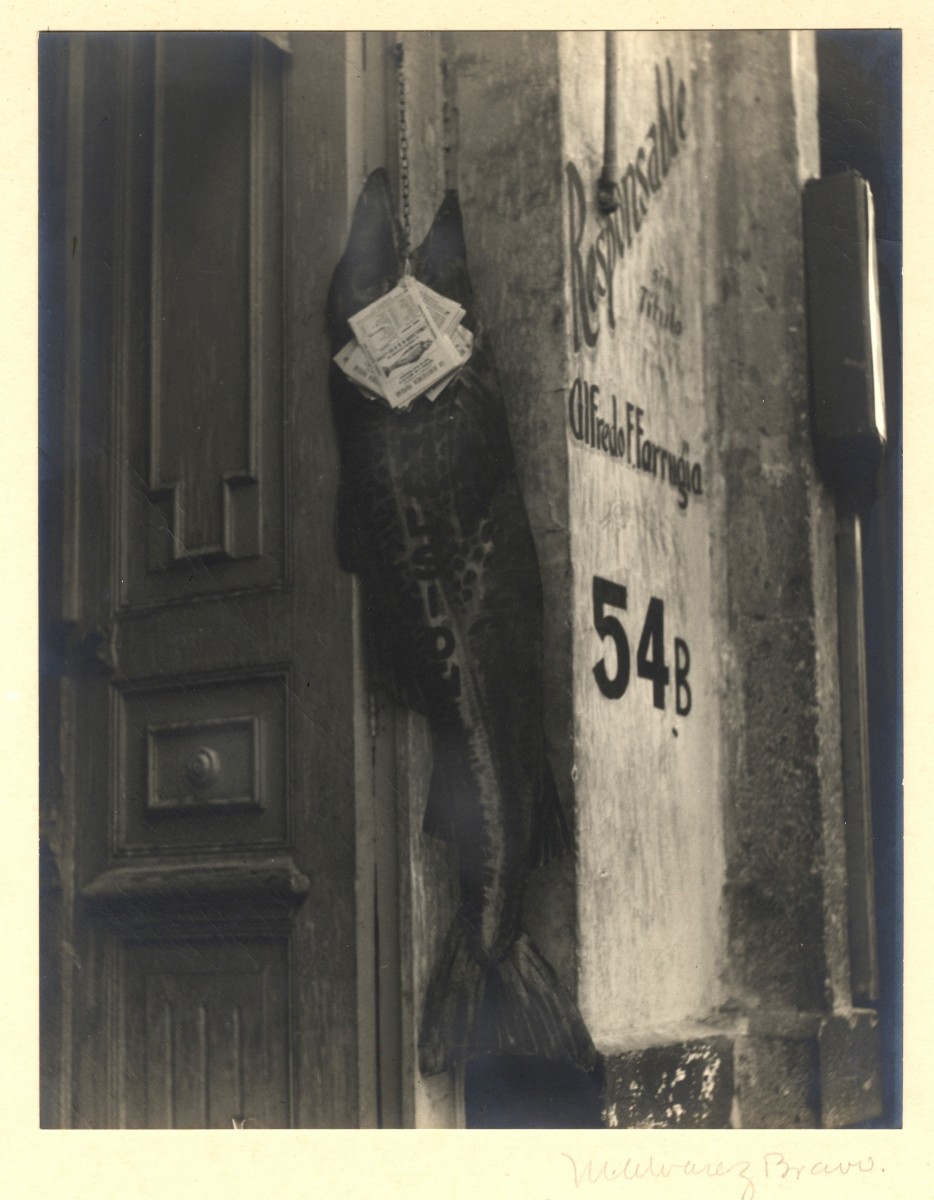 El pez grande se como a los chicos (The Big Fish Eats the Little Ones)