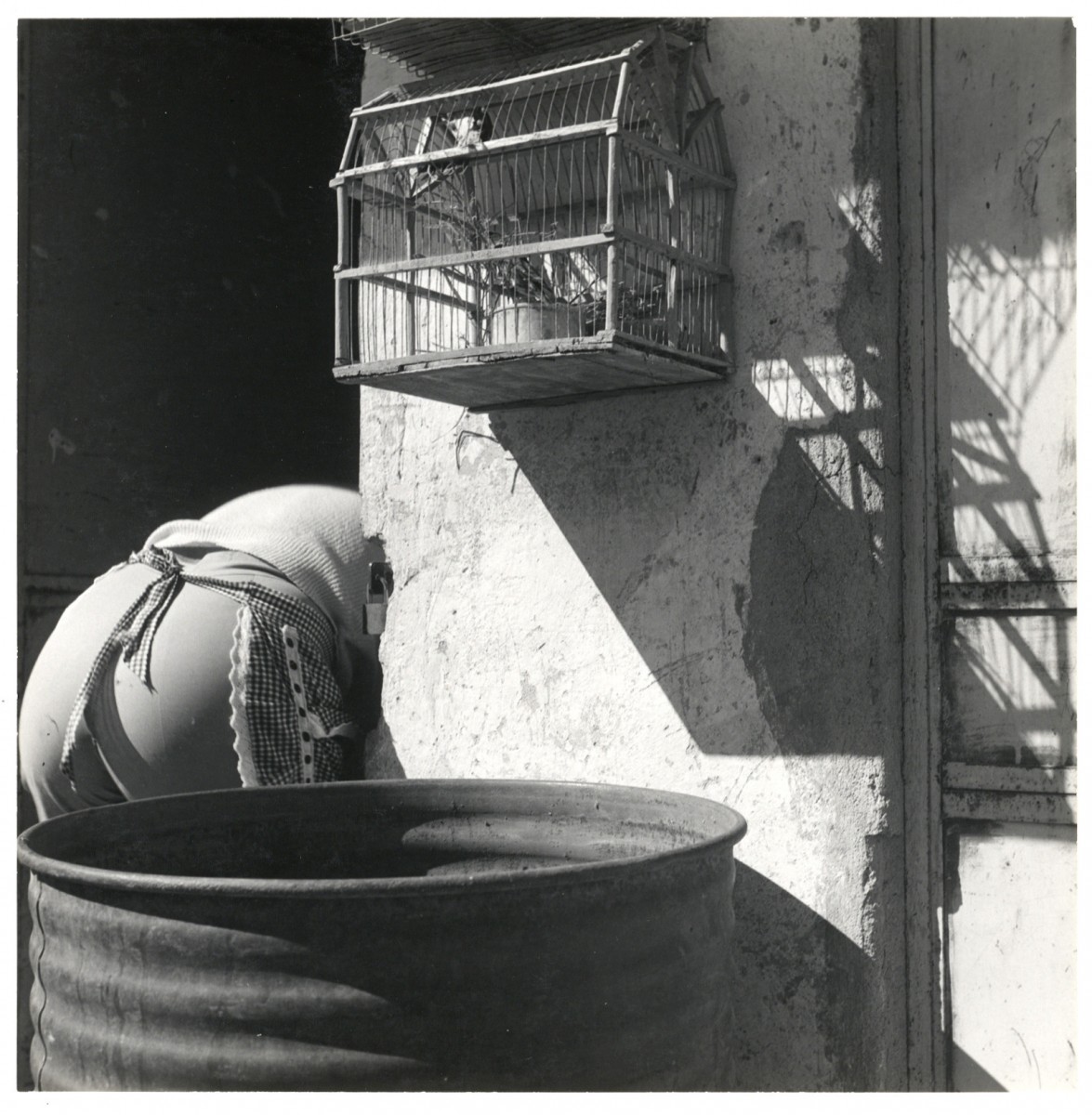 Untitled (birdcage and barrel)